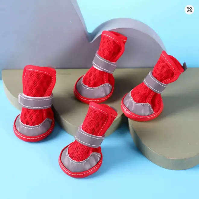 Dog wearing breathable mesh paw protection boots